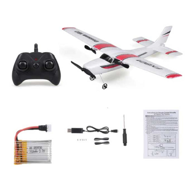 FX-801 RC Vliegtuig Glider met Afstandsbediening - Bestuurbaar Speelgoed Model Jet