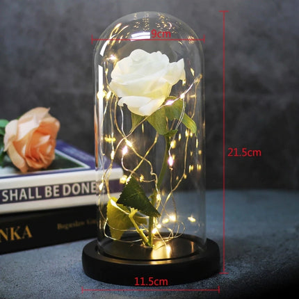Kunst Roos in Glazen Stolp met Verlichting - Zijden Rozen Bloemen Luxe Glas Decor Ornament