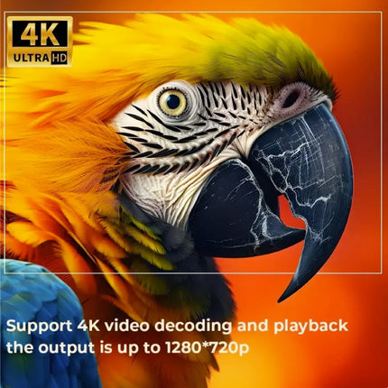 X15 Projector - 250 ANSI Lumen - Android Beamer Home Media Speler Wit