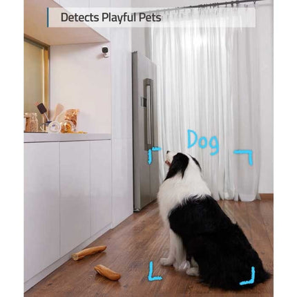Eufy Indoor Beveiligings Camera met Microfoon - WiFi AI Smart Home Security met Voice Assistant Ondersteuning 
