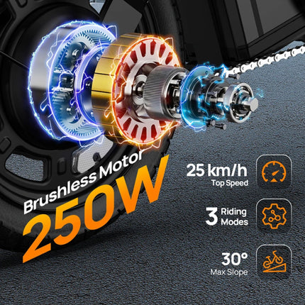 F1L Elektrische Fiets - 14-inch Wielen - Opvouwbare Smart E-Bike - Zwart