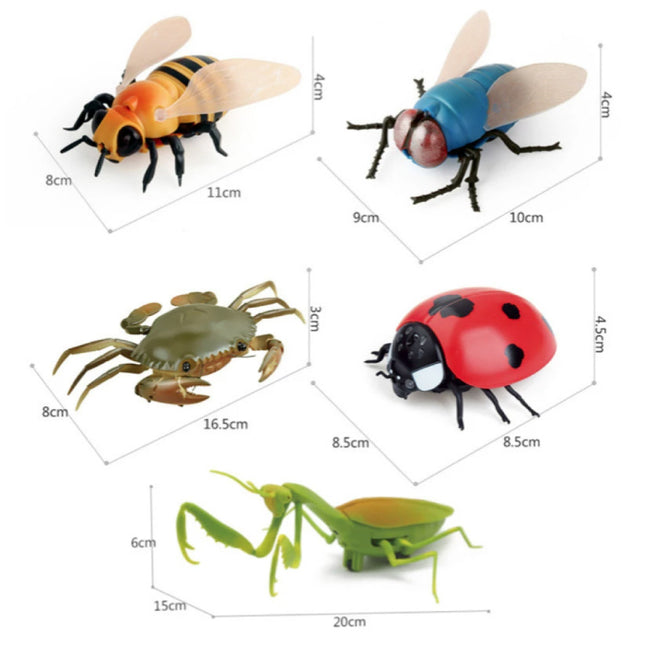 Huis Vlieg met IR Afstandsbediening - RC Speelgoed Bestuurbaar Robot Insect Blauw