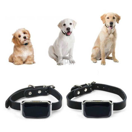 GPS Tracker Halsband - Huisdier Verloren Real Time Locator IP67 Magnetisch Opladen Blauw