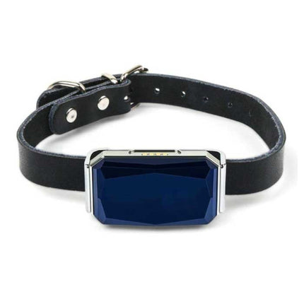 GPS Tracker Halsband - Huisdier Verloren Real Time Locator IP67 Magnetisch Opladen Blauw